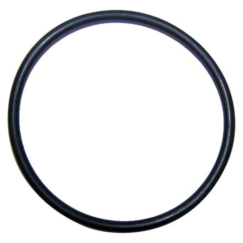 Liner o-ring